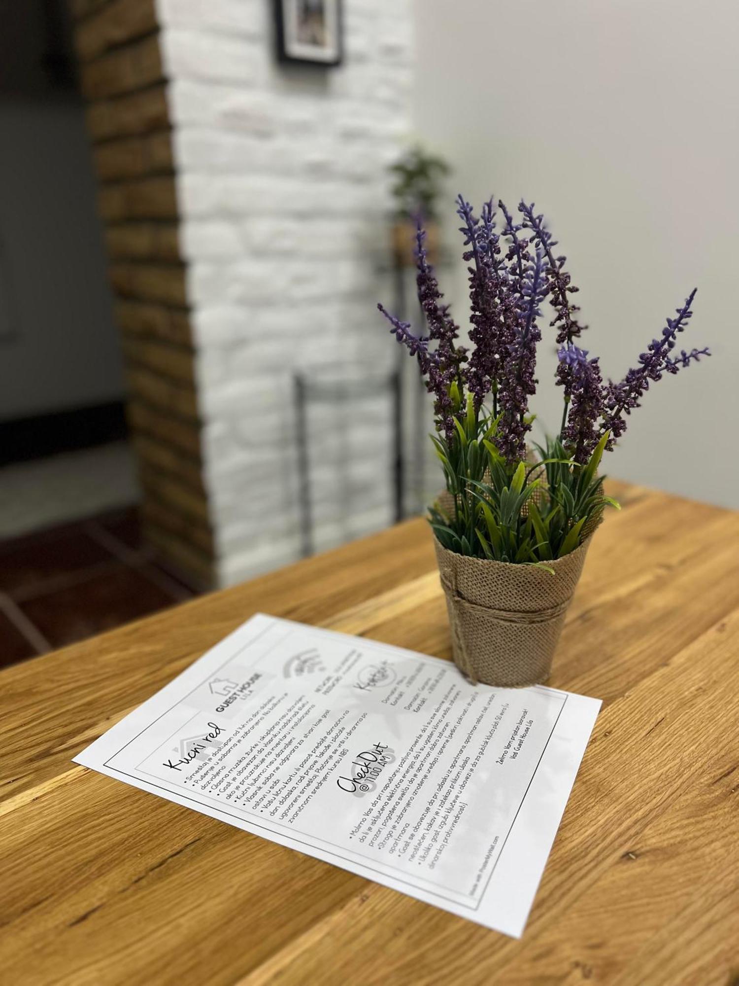 Guest House Lila 松博尔 外观 照片